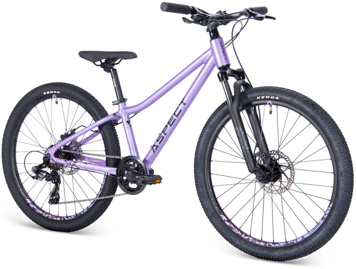 Купить ASPECT Angel 24 2025