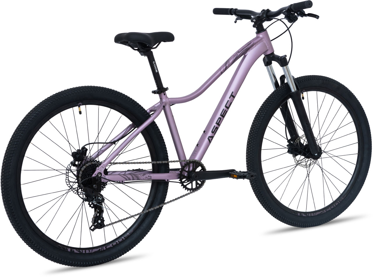 Купить ASPECT Oasis Pro 27.5 2026