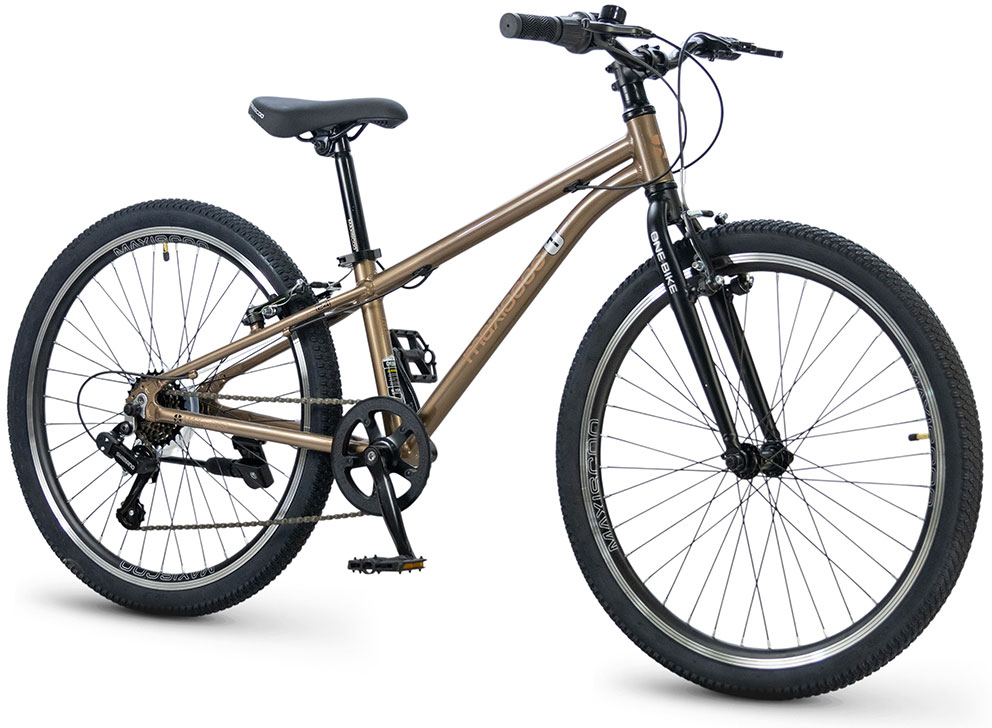 Купить MAXISCOO 1Bike 24 2026