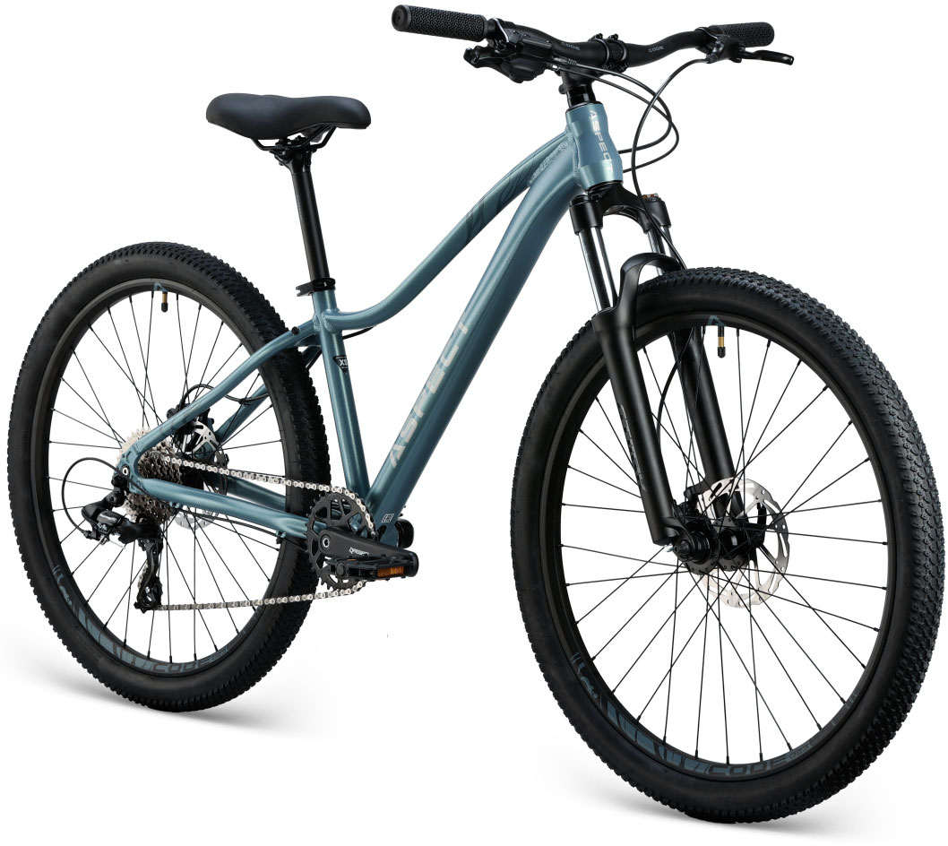 Купить ASPECT Alma Pro 26 2025
