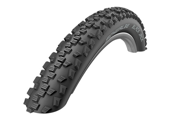 Купить Покрышка SCHWALBE 26x1.90 (47-559)