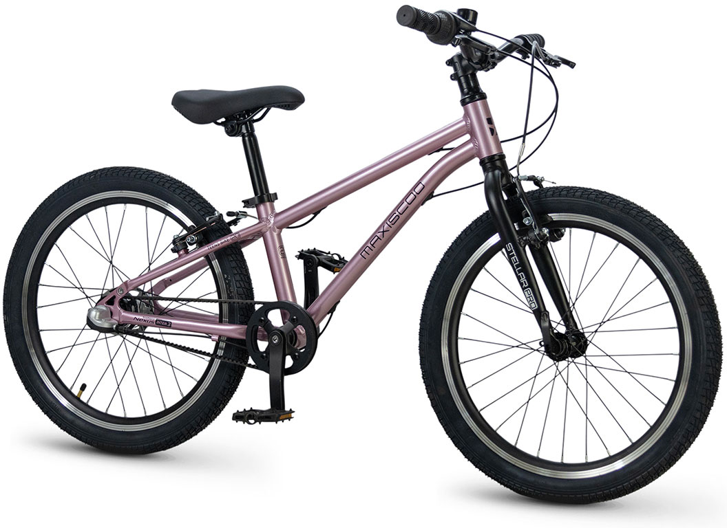 Купить MAXISCOO Stellar Pro 20 2026